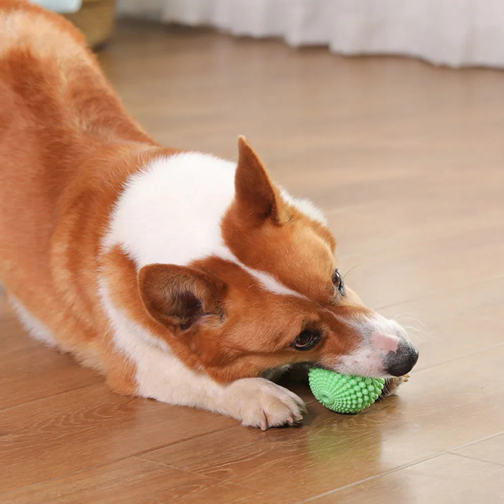 Squeaky Corn Dog Chew Toy