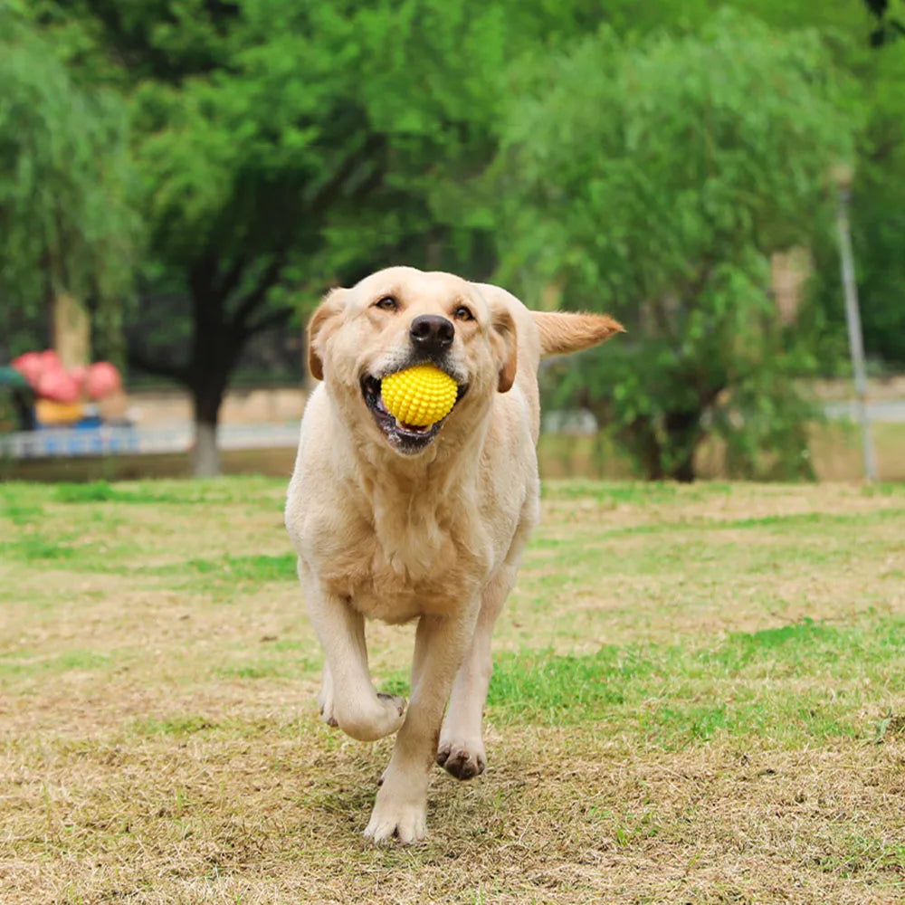 Squeaky Corn Dog Chew Toy