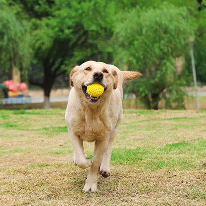 Squeaky Corn Dog Chew Toy