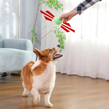 Squeaky Corn Dog Chew Toy