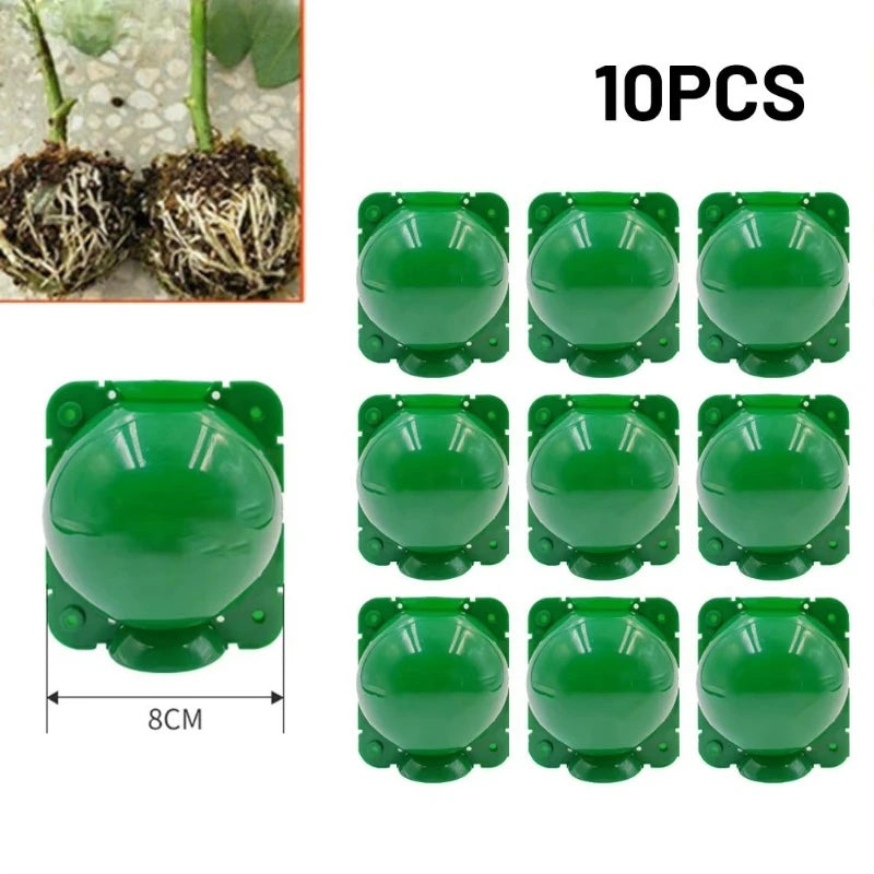 Plant Propagation Ball Kit