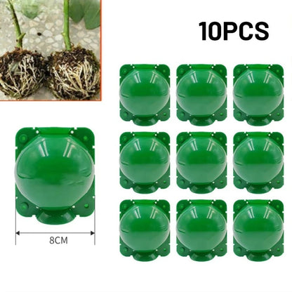 Plant Propagation Ball Kit