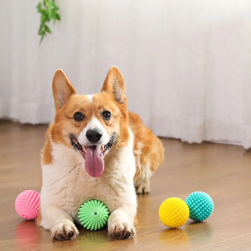 Squeaky Corn Dog Chew Toy