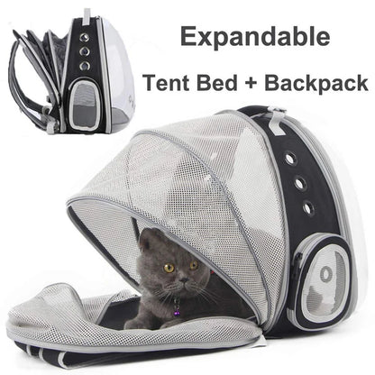 Astronaut Bubble Pet Backpack