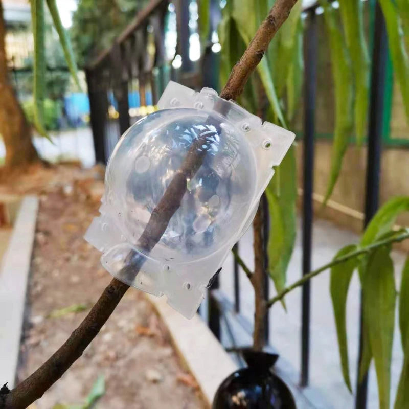 Plant Propagation Ball Kit