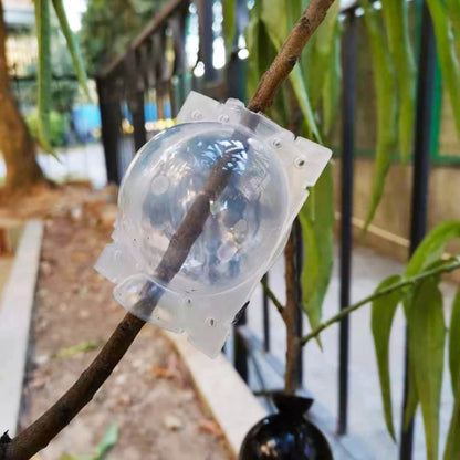 Plant Propagation Ball Kit