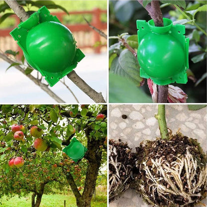 Plant Propagation Ball Kit